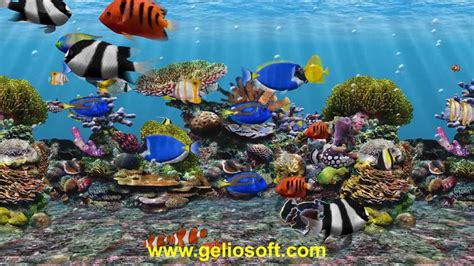 Tropical Fish Screensaver Windows 7 Cinessri