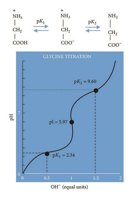 Illustration Of The Titration Of Glycine Download Scientific Diagram