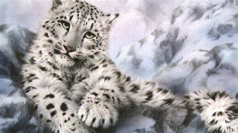 Snow Leopard Hd Wallpapers Wallpaper Cave