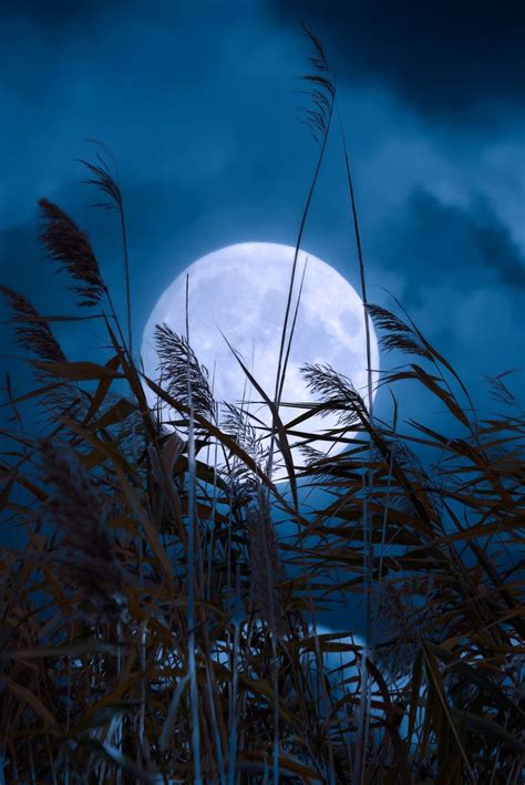 Mystic Moon Null Mystic Moon Beautiful Moon Moonscape