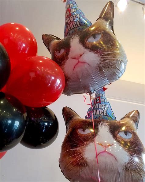 This Is My Party Face Photo That Cat Blog Grumpy Cat Birthday Cat Birthday Party Cat