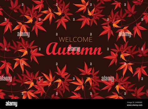 Welcome Autumn Background Vector Illustration With Maple Leaves Stock
