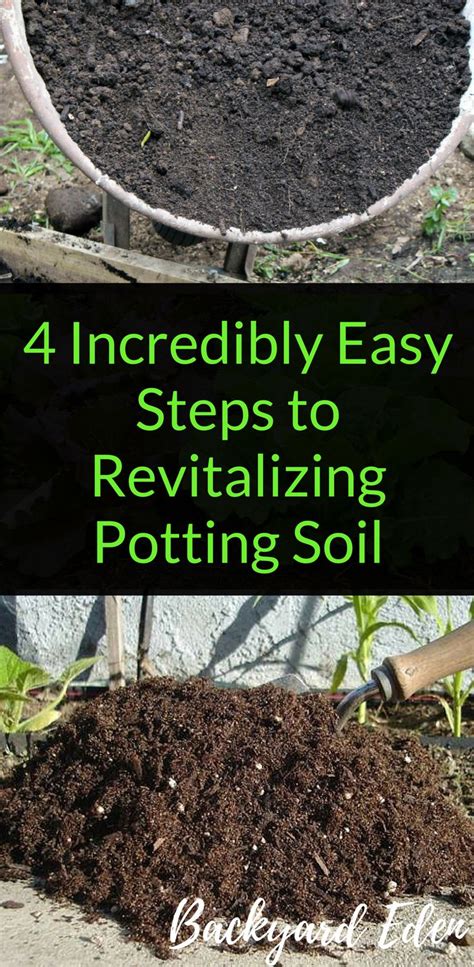 Revitalizing Potting Soil 4 Incredibly Easy Steps To Reuse Soil