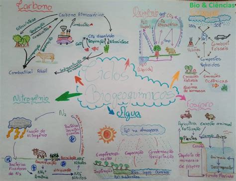 Mapa Mental Ciclo Biogeoquimico LEARNBRAZ