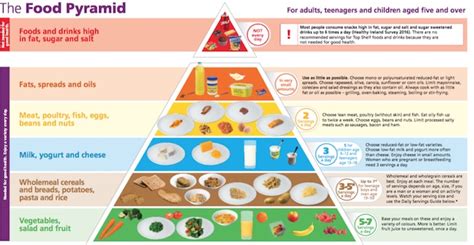 How do you expect the new my pyramid 2010 version to look compared to the others? New Food Pyramaid Launched - FDYS