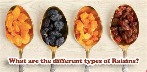 What Are The Different Types Of Raisins Sayna Safir