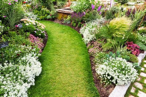 Your entrance is an important part of your landscape because it gives the first impression and friendliness to your home and neighbors. Front Garden Ideas With Driveway: Flawless And Functional ...