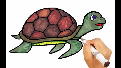 How To Draw Turtle Drawing With Colored Markers Learn Names For Kids