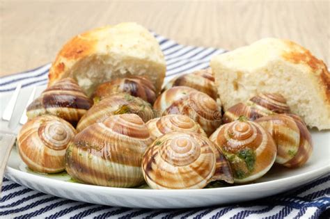 Escargot French Snails With A Garlic And Herb Sauce Stock Image