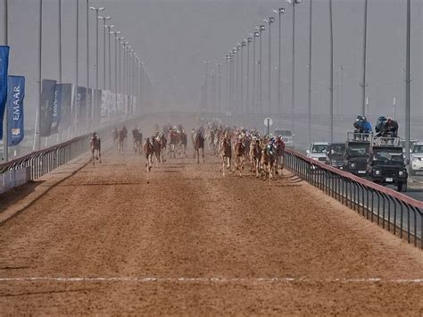 While minor races occur throughout the year, the main the most popular venues include al marmoom camel racing track and al khawaneej racing track. Al Marmoum Camel Racing Season 2014 | Sports Events in ...