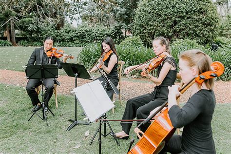 String Quartet For Canberra Weddings String Musicians Australia