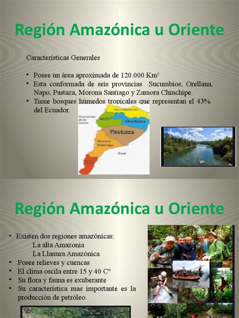 Regiones Del Ecuador Flora Y Fauna Actualizado Agosto Sexiz Pix