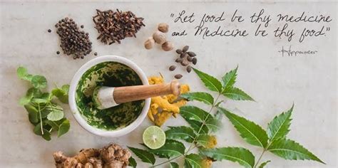 Pitta Health And Wellness Quotes Health Tips Health Food Medicinal Herbs Garden Herb Garden