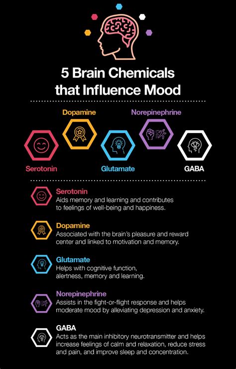 Brain Chemicals Affect Emotions Neurotransmitters And Mood Regulation Brain Anatomy And