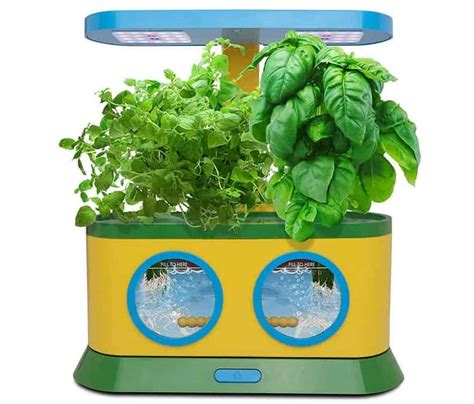 8 Indoor Garden Kits For Kids Indoor Gardening