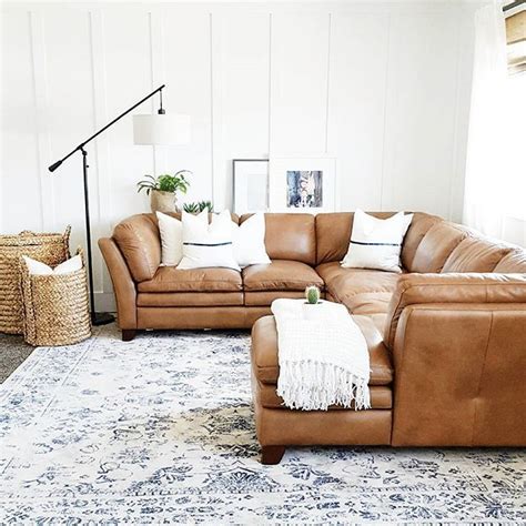 What does petrified camel bone look like? The whole house can look like a bomb went off (and trust ...