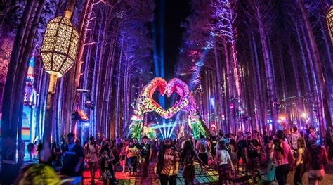 Electric Forest 2022 Welcome Back The Festival Voice