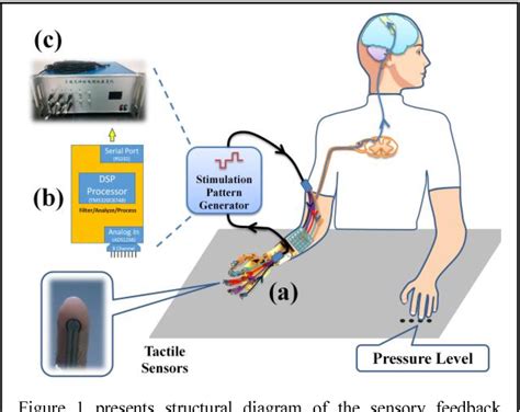 Figure 1 From A Sensory Feedback System For Prosthetic Hand Based On