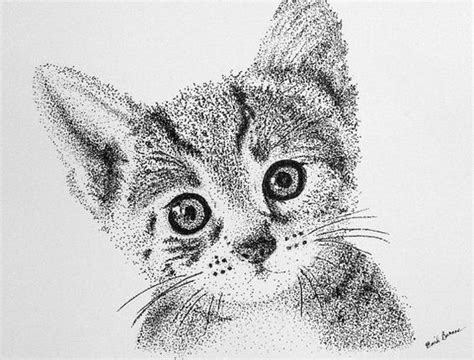 Dotted Drawings Pencil Art Drawings Cat Drawing Animal Drawings