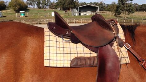 Kent Western Drafter Saddle Review Australian Half Breed Youtube