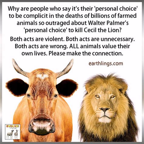 Cecil The Lion – Drawing us Toward Self-reflection on the Power of