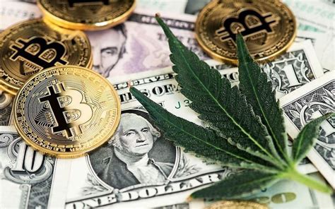 Cannabis Companies Are Turning To Crypto Why Crypto Over Banks
