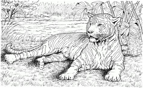 Detailed Coloring Pages Of Animals