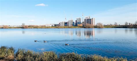 Walthamstow Wetlands In London Guide 2023 Ck Travels
