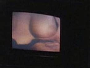 Body Double Nude Scenes Aznude