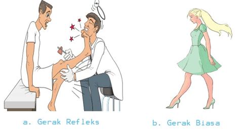 Pengertian Mekanisme Dan Urutan Serta Contoh Gerak Biasa Dan Gerak