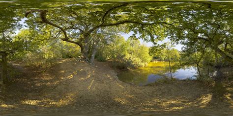 360 Hdri Panorama Of Epping Forest In High 30k 15k Or 4k Resolution