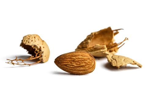 Raw Almonds In Shell By The Pound