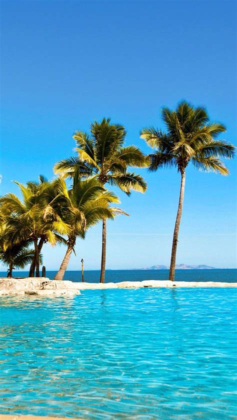 Palm Tree Beach Beautiful Places To Travel Beach Wallpaper Palm