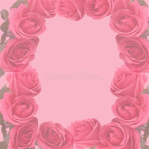 Pink Faded Roses Scapbooking Page Stock Photo Image Of Borders