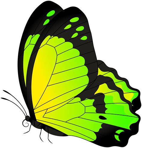 Butterfly Clip Art Butterfly Yellow Green Transparent Clip Art Image