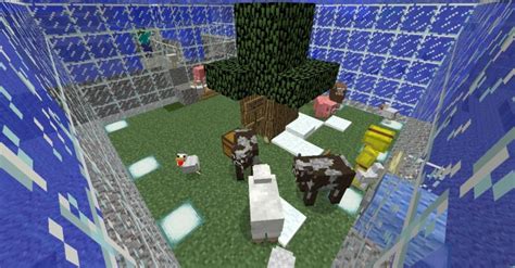 We did not find results for: The Search For Mr. Pufferfish Minecraft Map