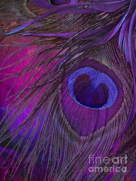 Peacock Candy Purple Greeting Card For Sale By Mindy Sommers Peacock