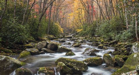 Beyond The Guidebook Great Smoky Mountains National Park