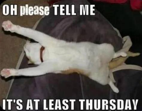 85 Hilarious Funny Thursday Memes Of All Time Littlenivicom