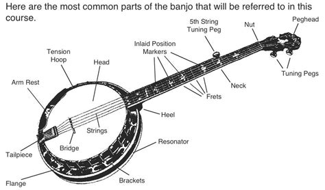 Free Banjo Lessons By Bradley Laird Lesson 1 Introduction To Playing