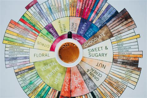 Vòng Tròn Hương Vị Cà Phê Coffee Tasters Flavor Wheel
