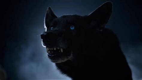Derek doesn't seem too invested in fixing it up. Teen Wolf - Derek Hale Black Wolf Evolving (4x12) - YouTube