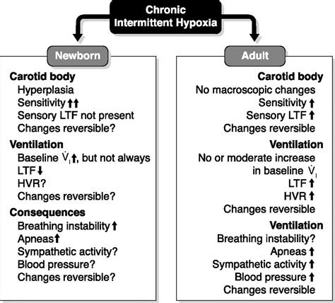 The Ventilatory Response To Hypoxia In Mammals Mechanisms Measurement