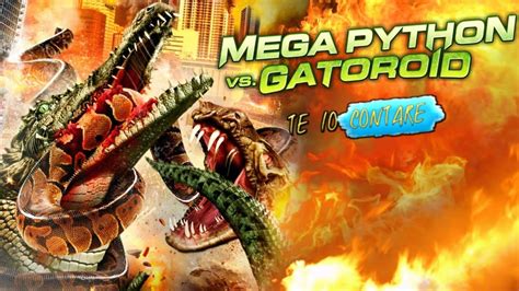 Mega Python Vs Gatoroid En 5 Minutos Youtube