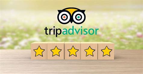 Tripadvisor Your Ultimate Guide To Planning The Perfect Trip