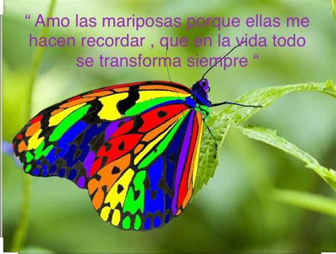 Total 48 Imagen Imagen Buen Dia Con Mariposas Viaterramx