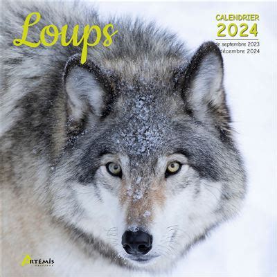 Calendrier Loups 2024 Dernier livre de Collectif Précommande date