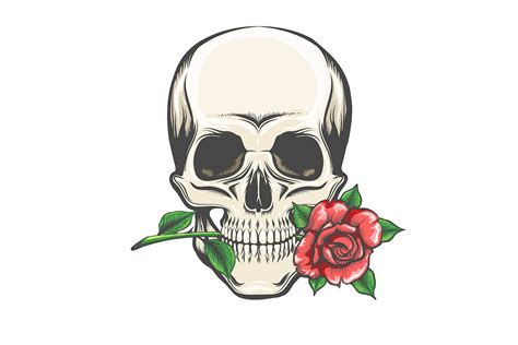 Skull With A Rose In The Teeth Tattoo By Olena1983 Thehungryjpeg