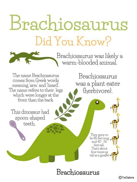 Dinosaur Printables Fact Posters And Cards Dinosaur Activities