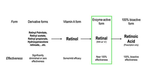 Types Of Retinoids The Definitive Retinol Strength Chartn Protocol